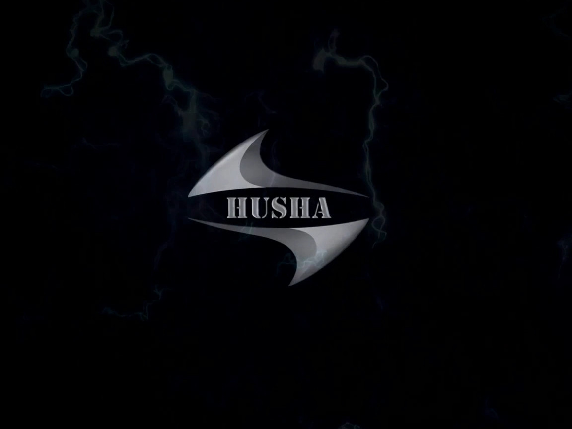 China HUSHA GROUP Perfil de compañía